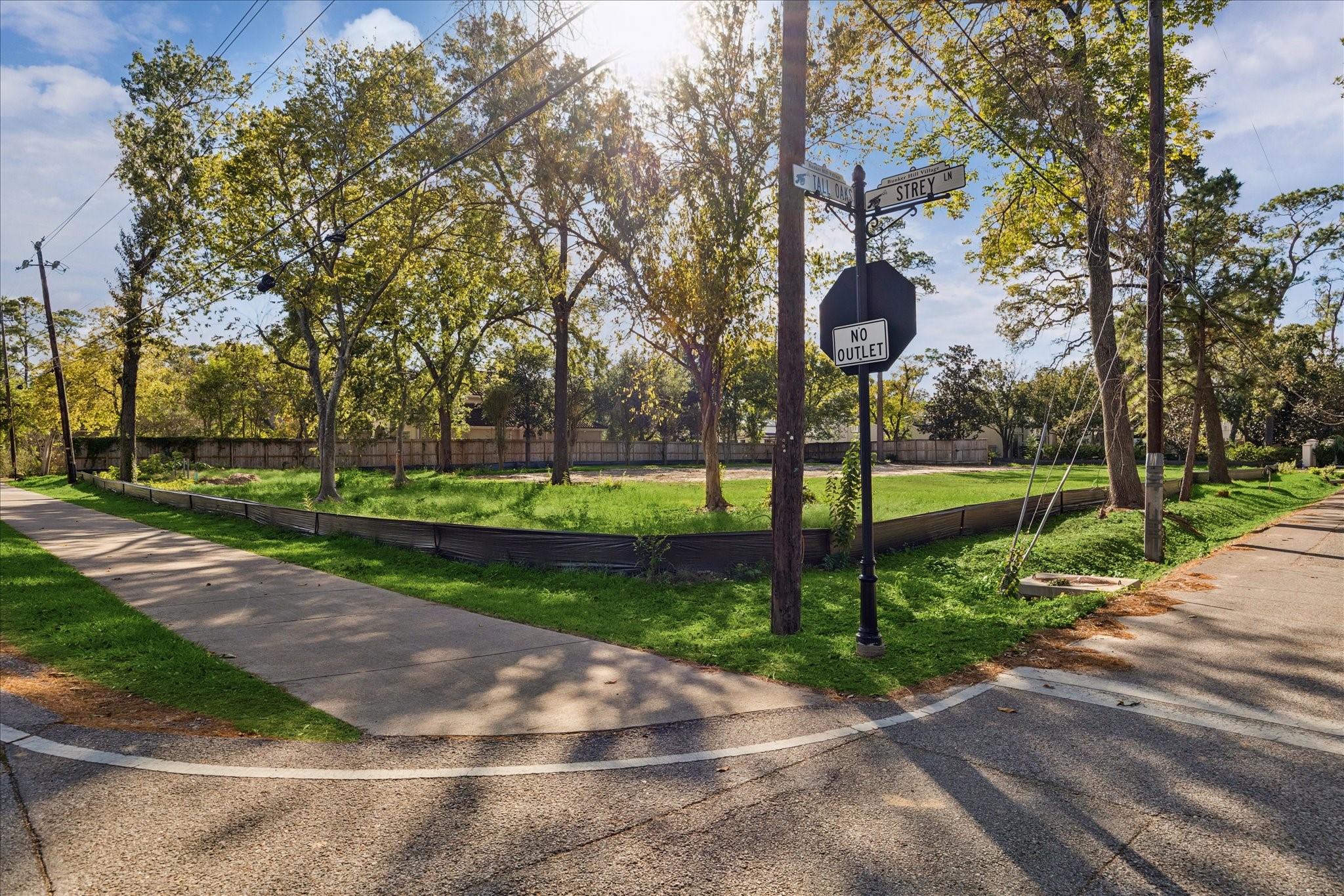 12003 Tall Oaks Street Houston, TX 77024 - Photo 7 of 14 a view of a park with large trees
