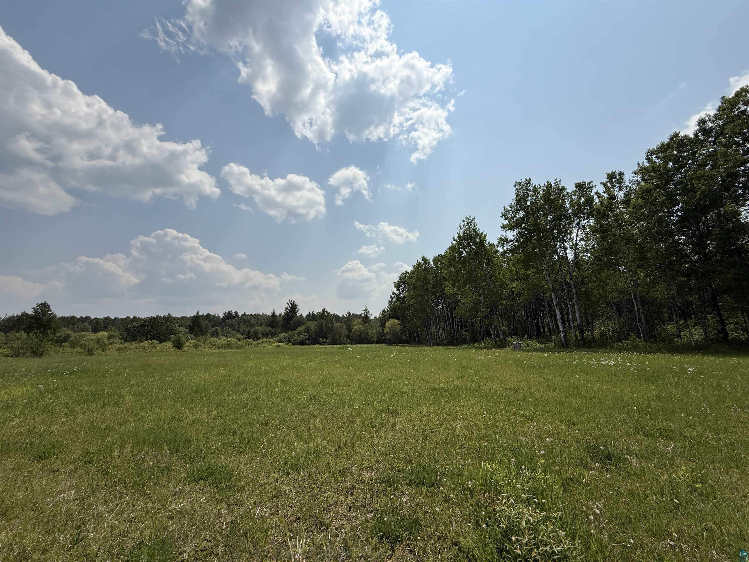 Tbd Samuelson Road Angora, MN 55703 - Photo 34 of 43 View of wooded area