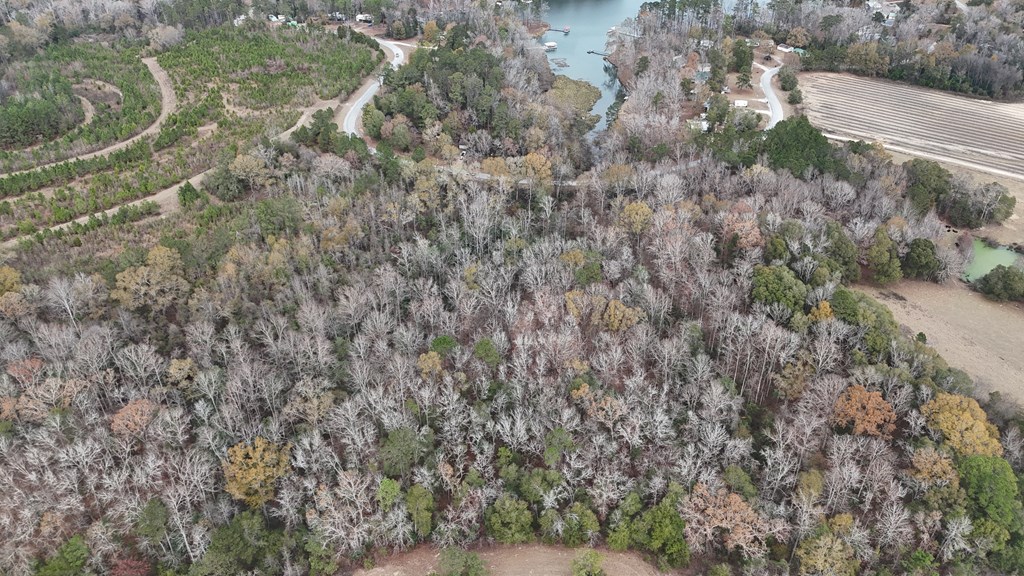 13962 Highway 95 Abbeville, AL 36310 - Photo 23 of 27