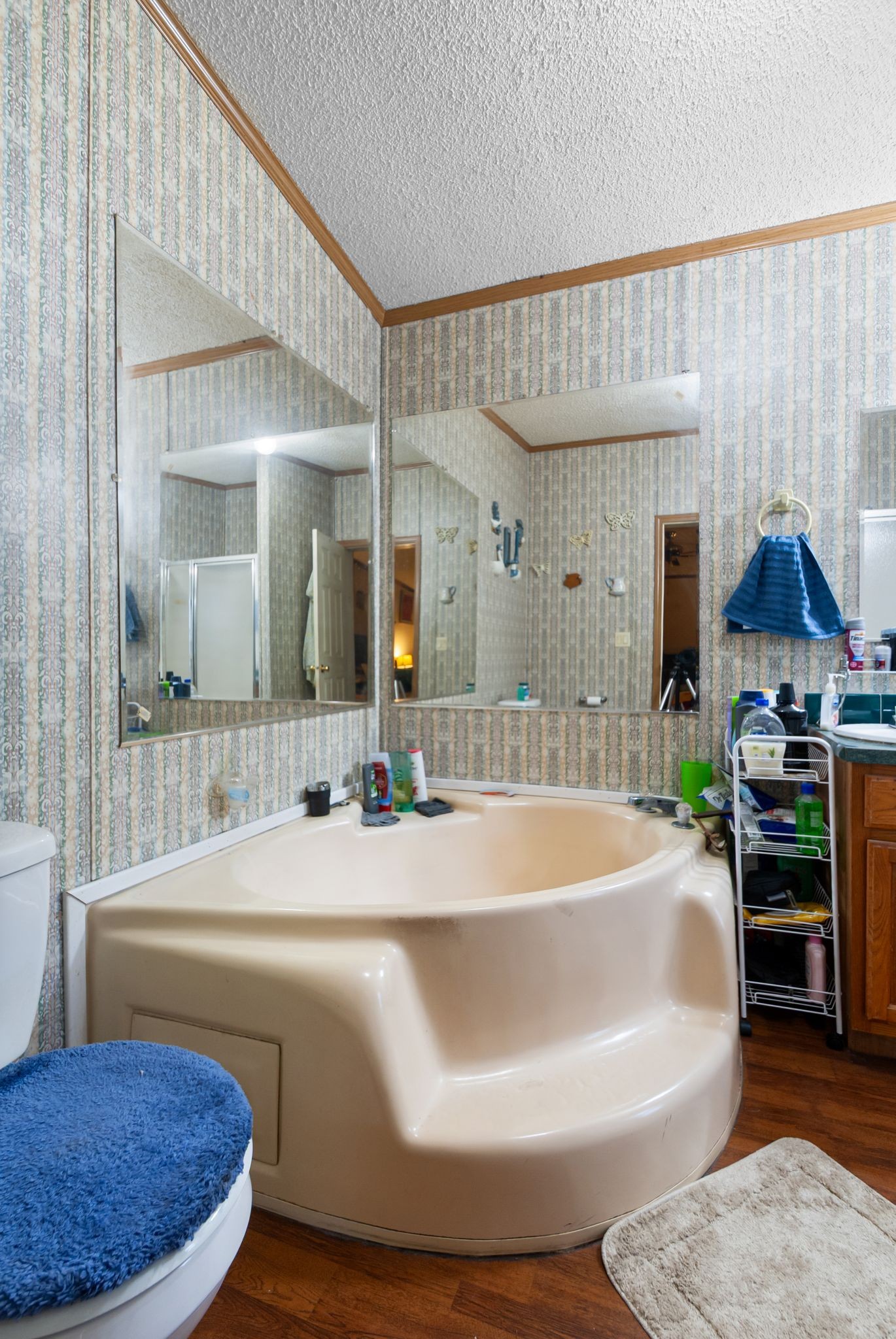 3300 Fishing Ford Road Petersburg, TN 37144 - Photo 23 of 30 a spacious bathroom with a tub and sink