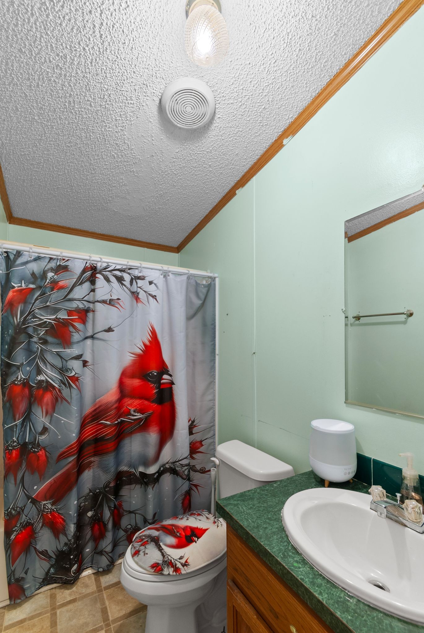3300 Fishing Ford Road Petersburg, TN 37144 - Photo 28 of 30 a bathroom with a sink and a toilet