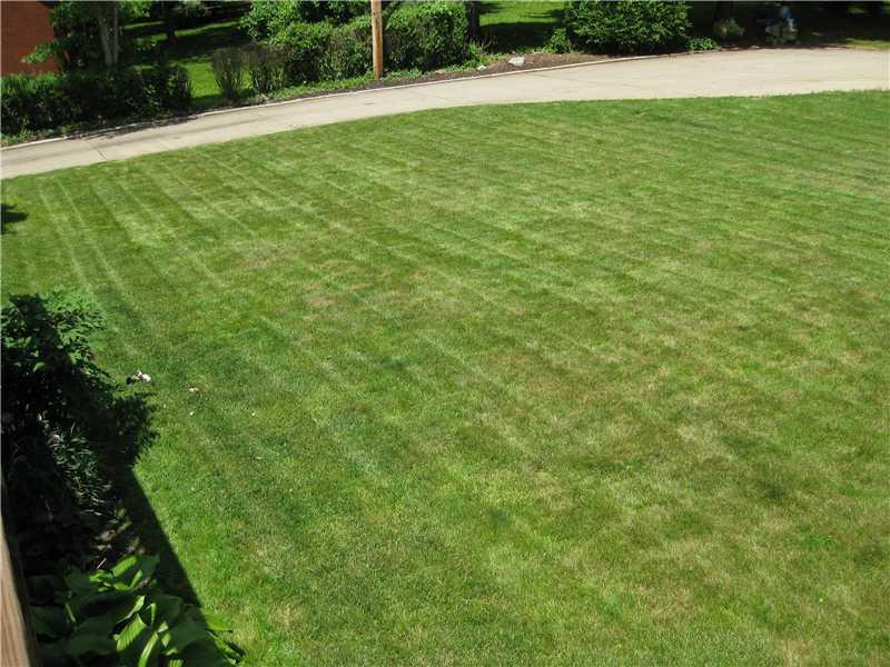 128 E Road Pittsburgh, PA 15209 - Photo 25 of 25 Yard/Garden.