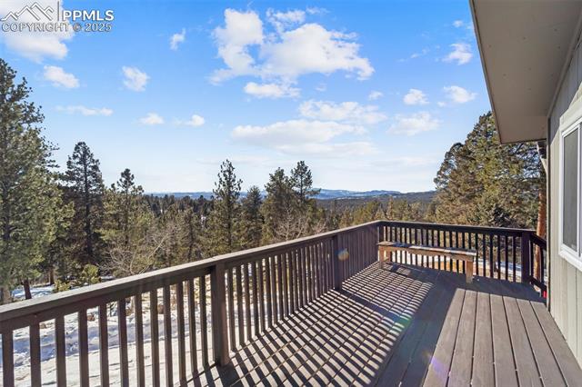 112 Needle Creek Road Divide, CO 80814 - Photo 26 of 27 Gallery Image 26