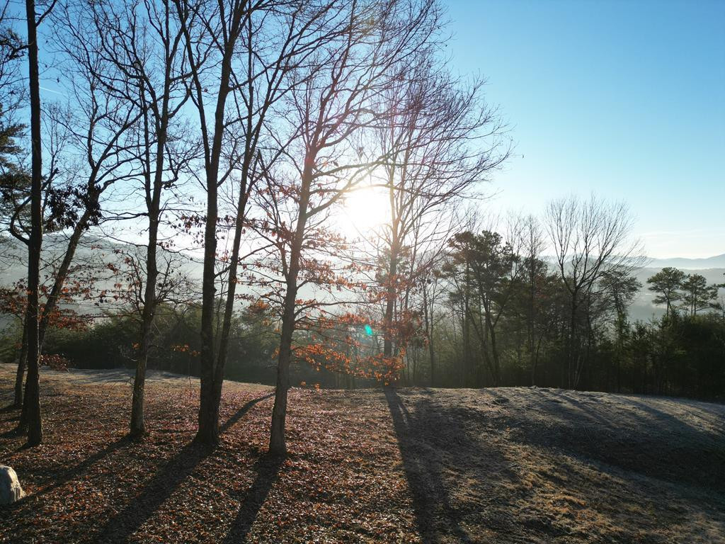 8-9 Mistletoe Ridge Murphy, NC 28906 - Photo 3 of 25