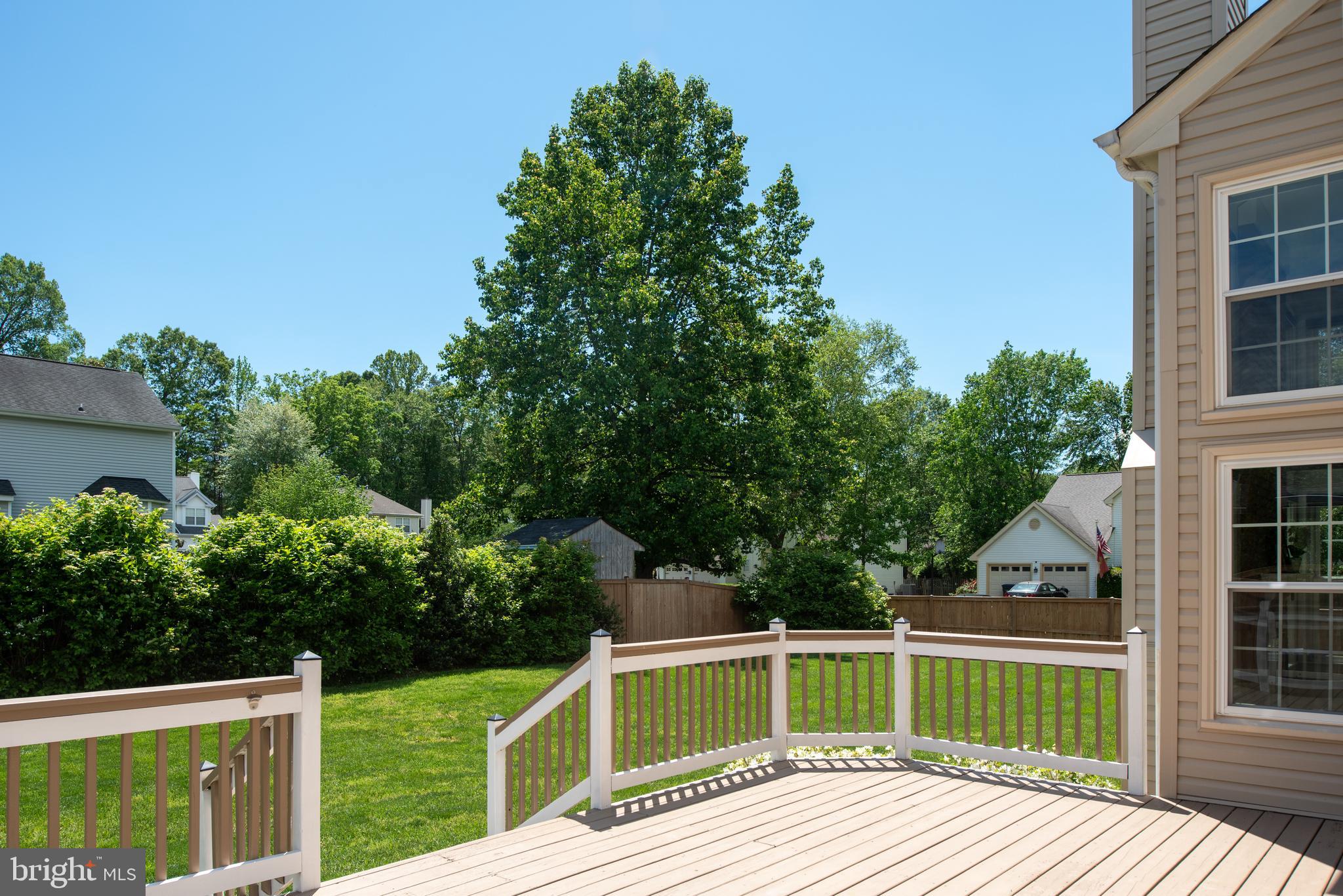 11 Ashbrook Road Stafford, VA 22554 - Photo 76 of 91 Beautiful landscaping & flowering bushes.