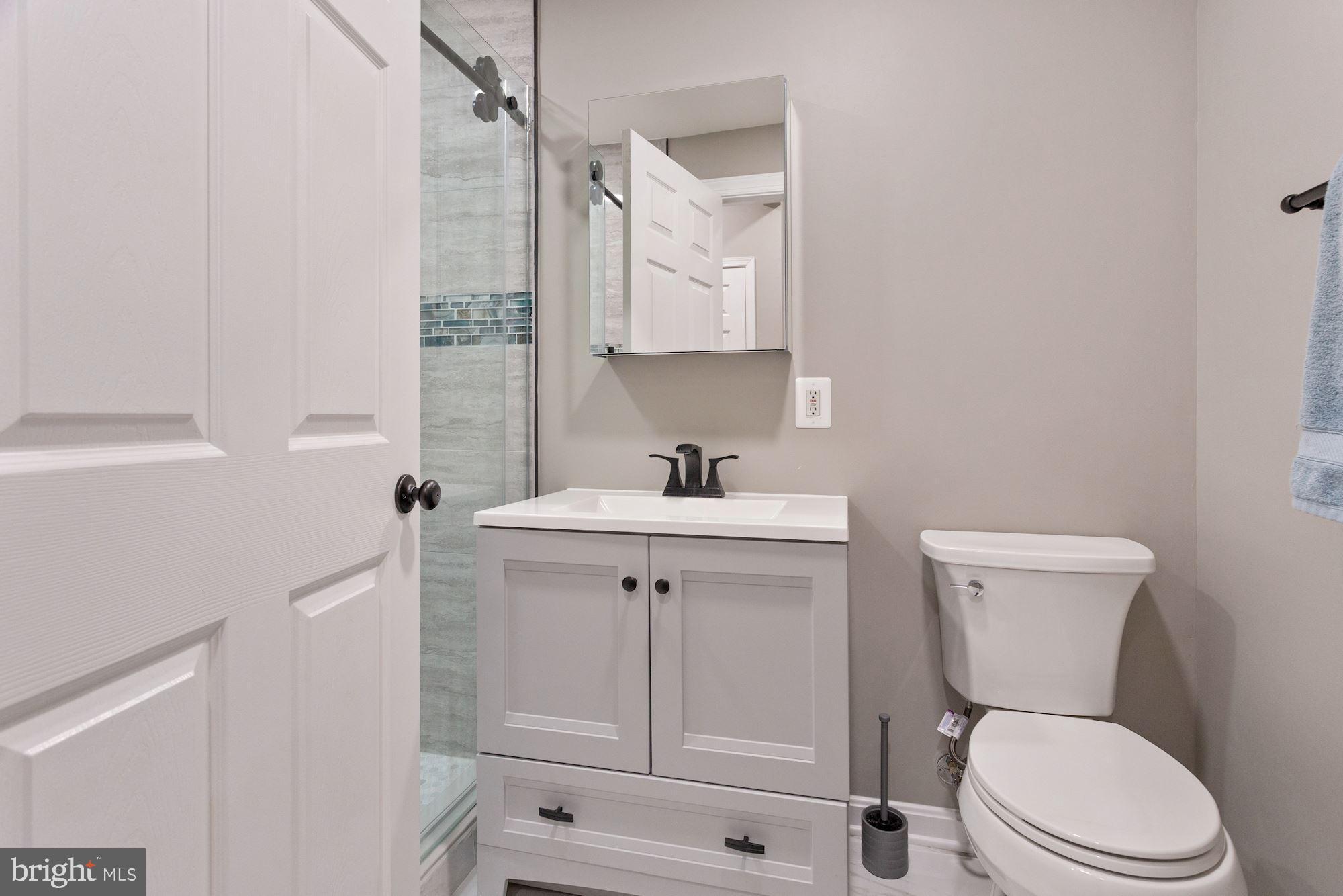 25272 McIntyre Square South Riding, VA 20152 - Photo 39 of 51 Lower Level Full Bath - Newly Renovated