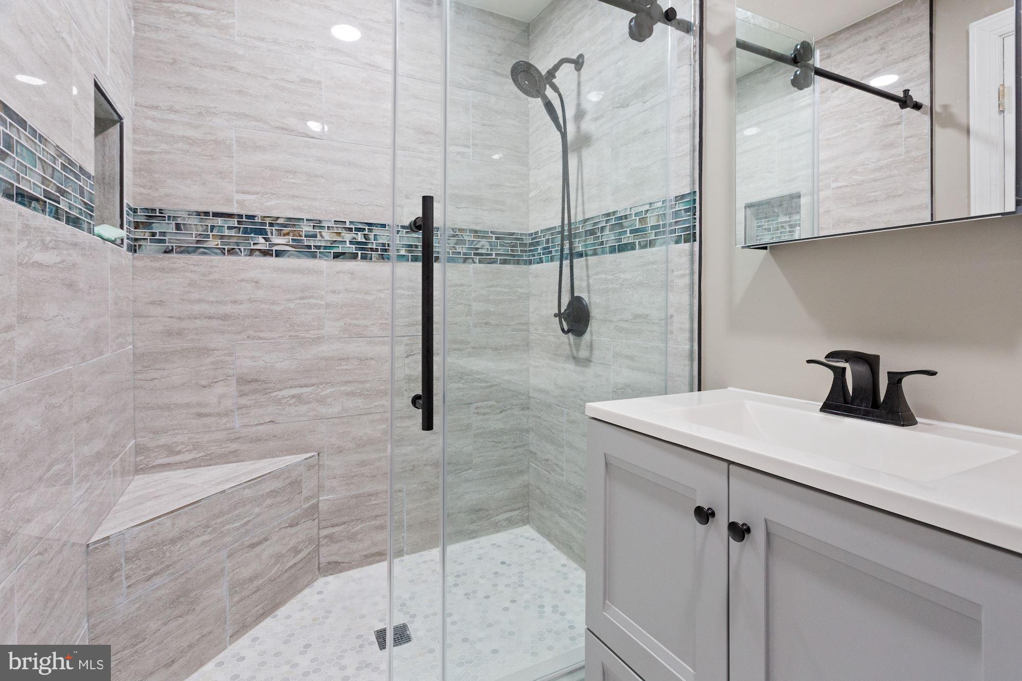 25272 McIntyre Square South Riding, VA 20152 - Photo 40 of 51 Lower Level Full Bath - Newly Renovated