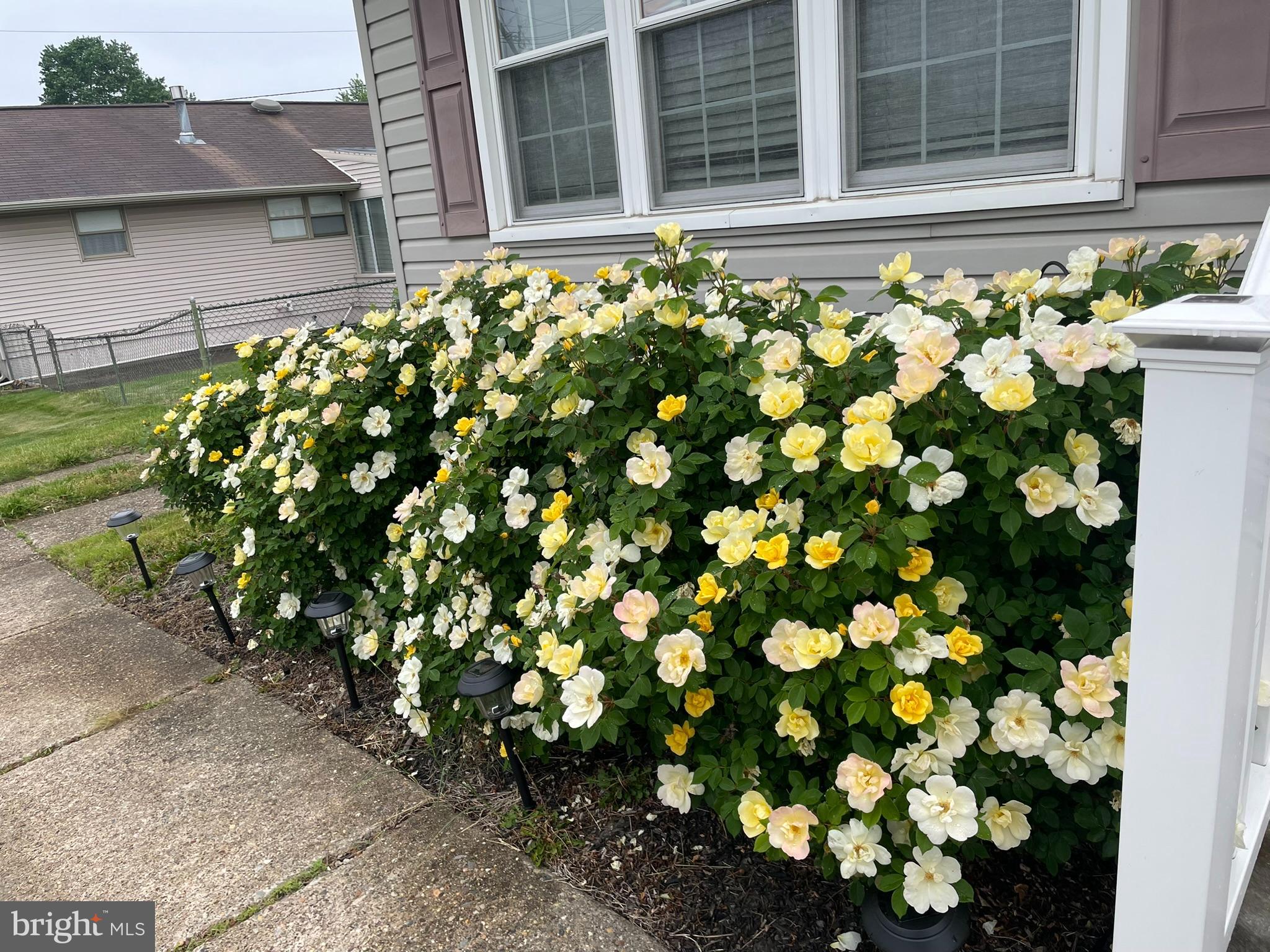 1101 Prospect Lane Somerdale, NJ 08083 - Photo 28 of 41 a view of a house with a flower plant