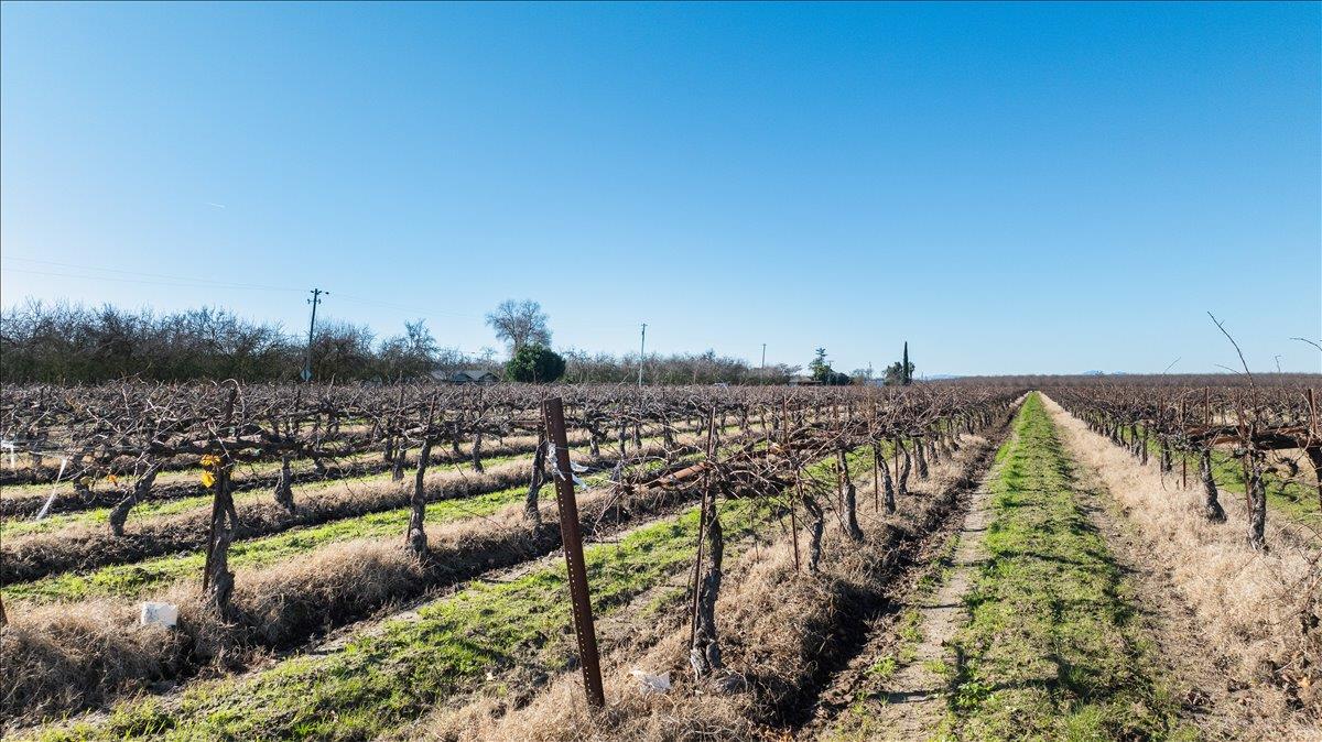 2521 Coelho Road Manteca, CA 95336 - Photo 15 of 24