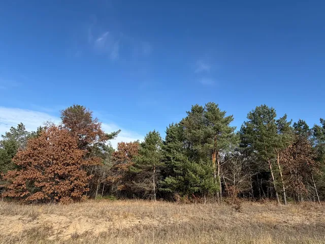 $160,000 | L5-blk1 262nd Avenue Northwest, Big Lake, MN 55309