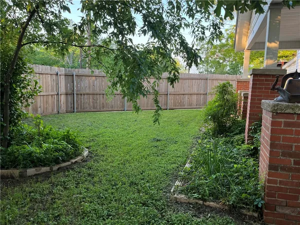 a view of a backyard with potted plants and large tree