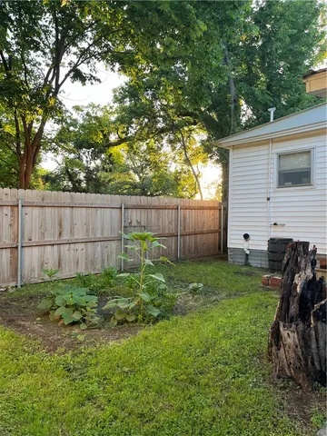a view of a backyard with a large tree