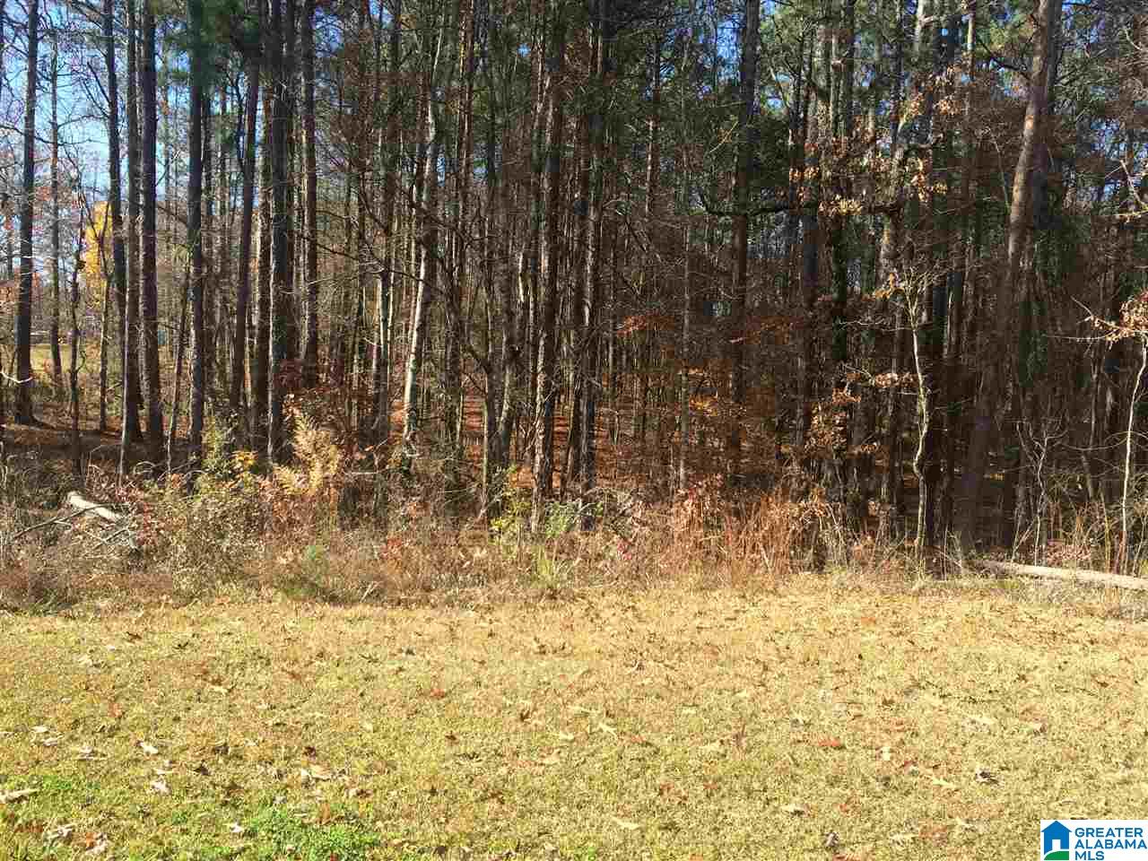 7315 Alice Road, Unit 1 5ACRES McCalla, AL 35111 - Photo 1 of 3 Gallery Image 1