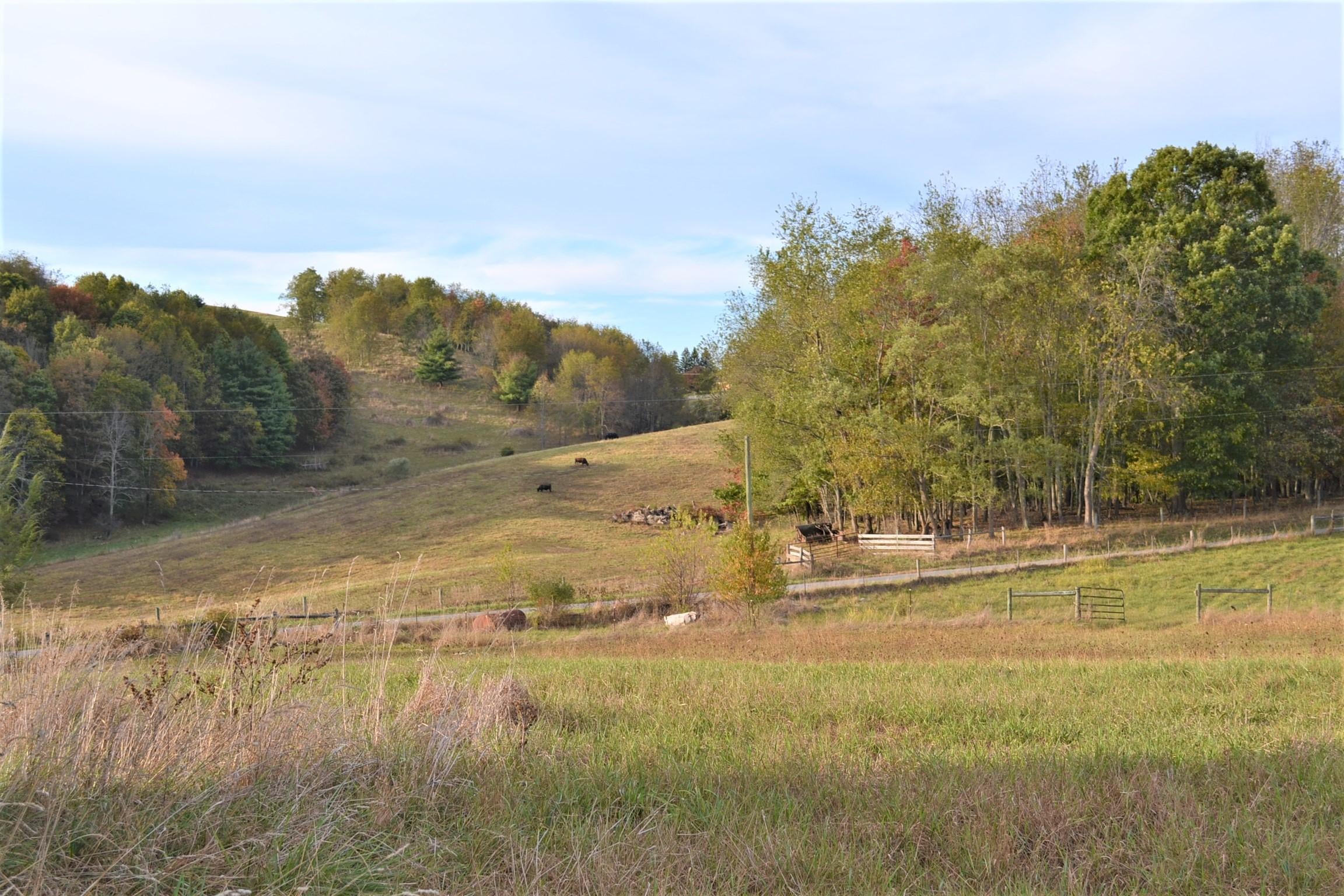 165 Doss Shaver Road Gap Mills, WV 24941 - Photo 26 of 71 Gallery Image 26