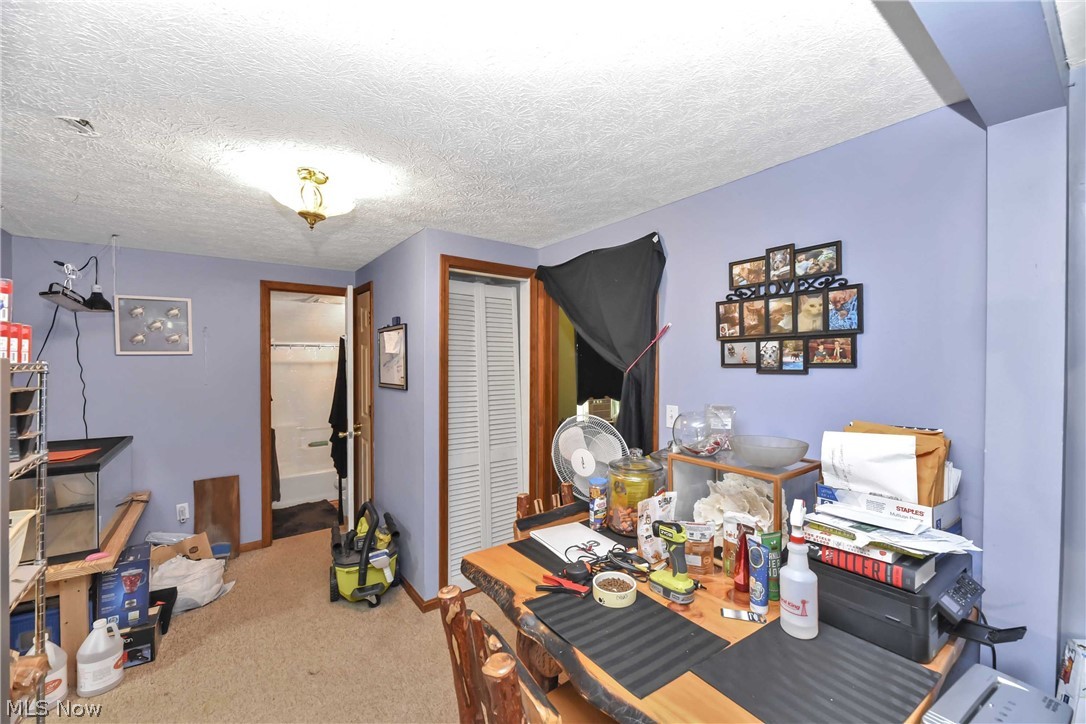 4962 Lear Nagle Road North Ridgeville, OH 44039 - Photo 17 of 23