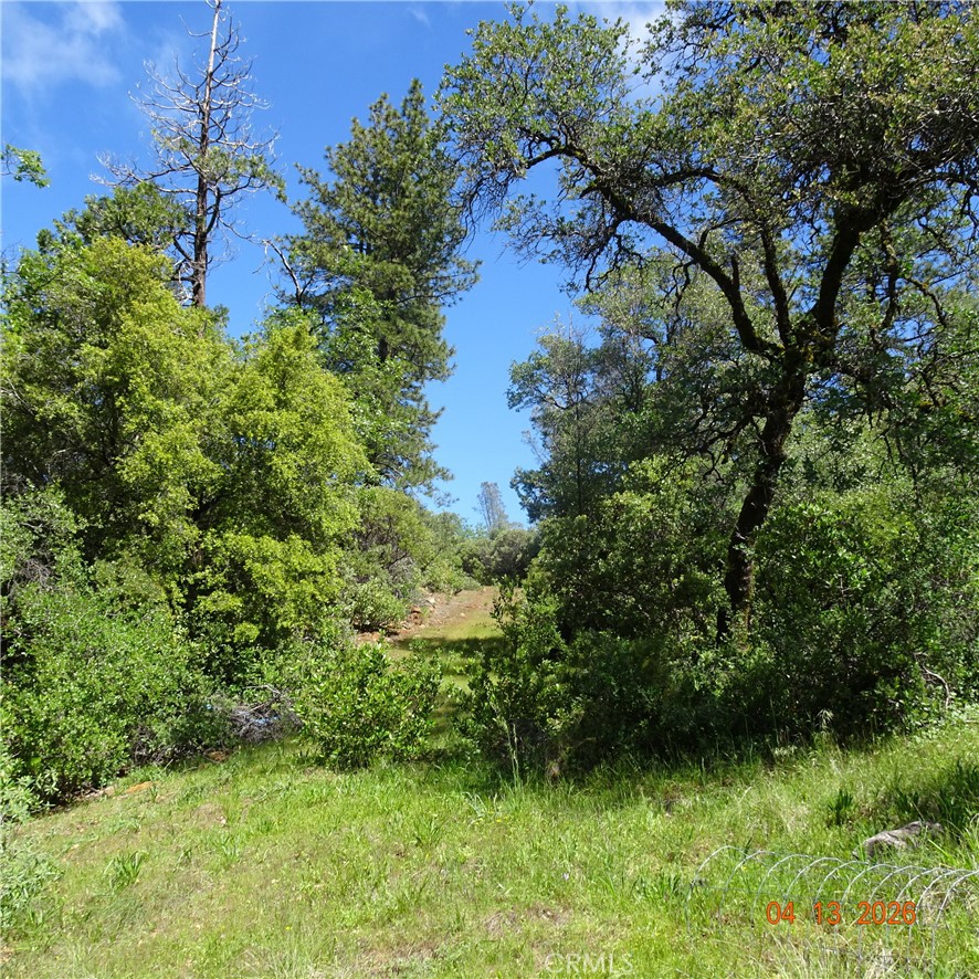 0 Powell Ridge Road Oroville, CA 95966 - Photo 4 of 9