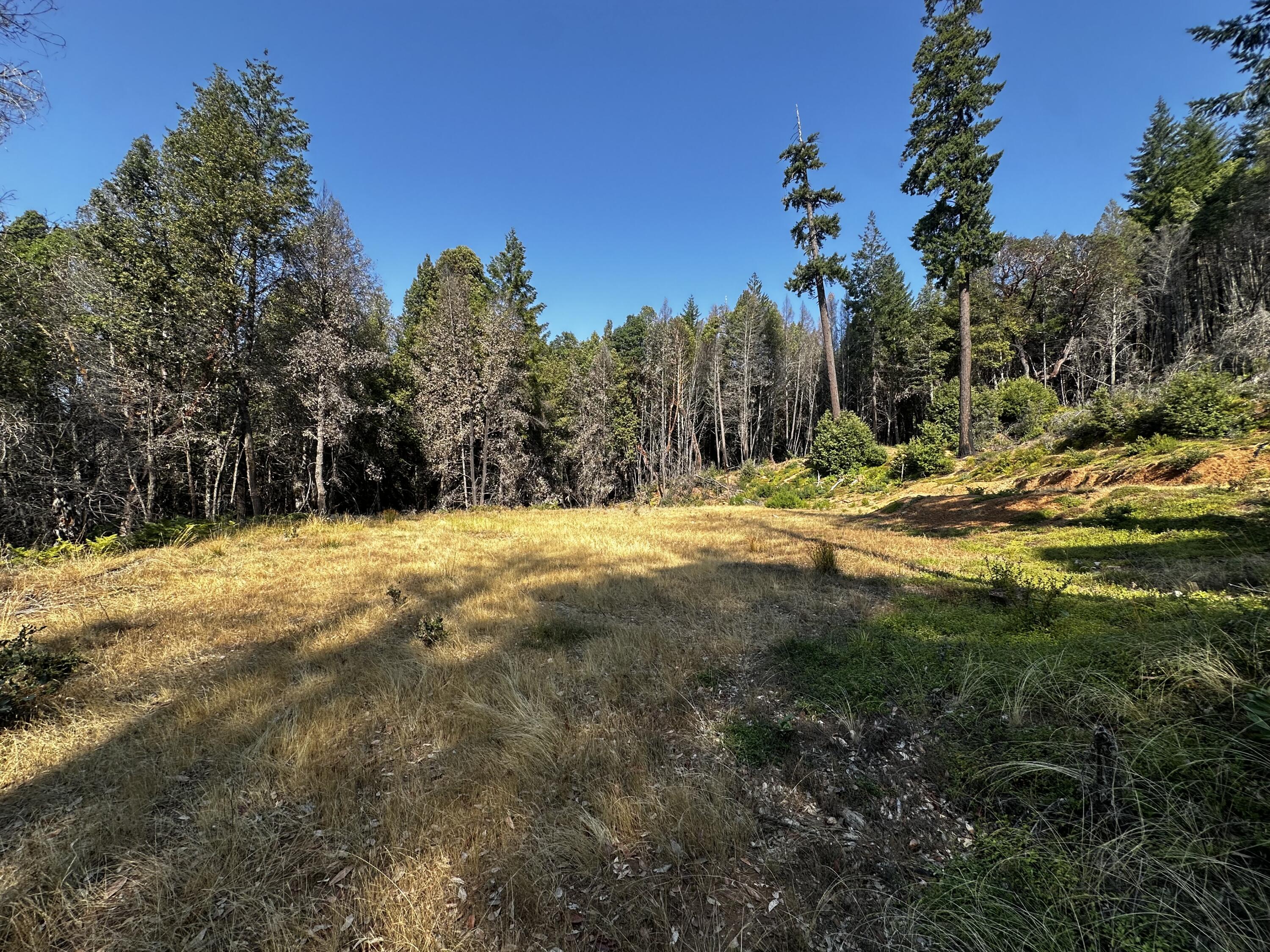 3 Un-named Road Willow Creek, CA 95573 - Photo 6 of 6