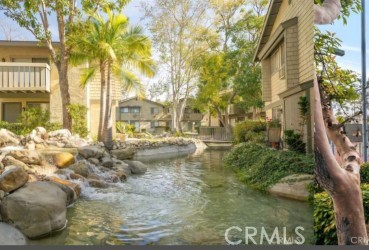 a view of yard with tree in front of it