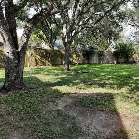 a view of a trees in a yard