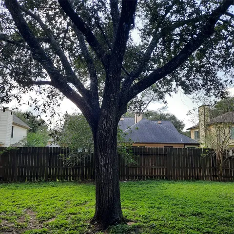 a view of a backyard with a tree