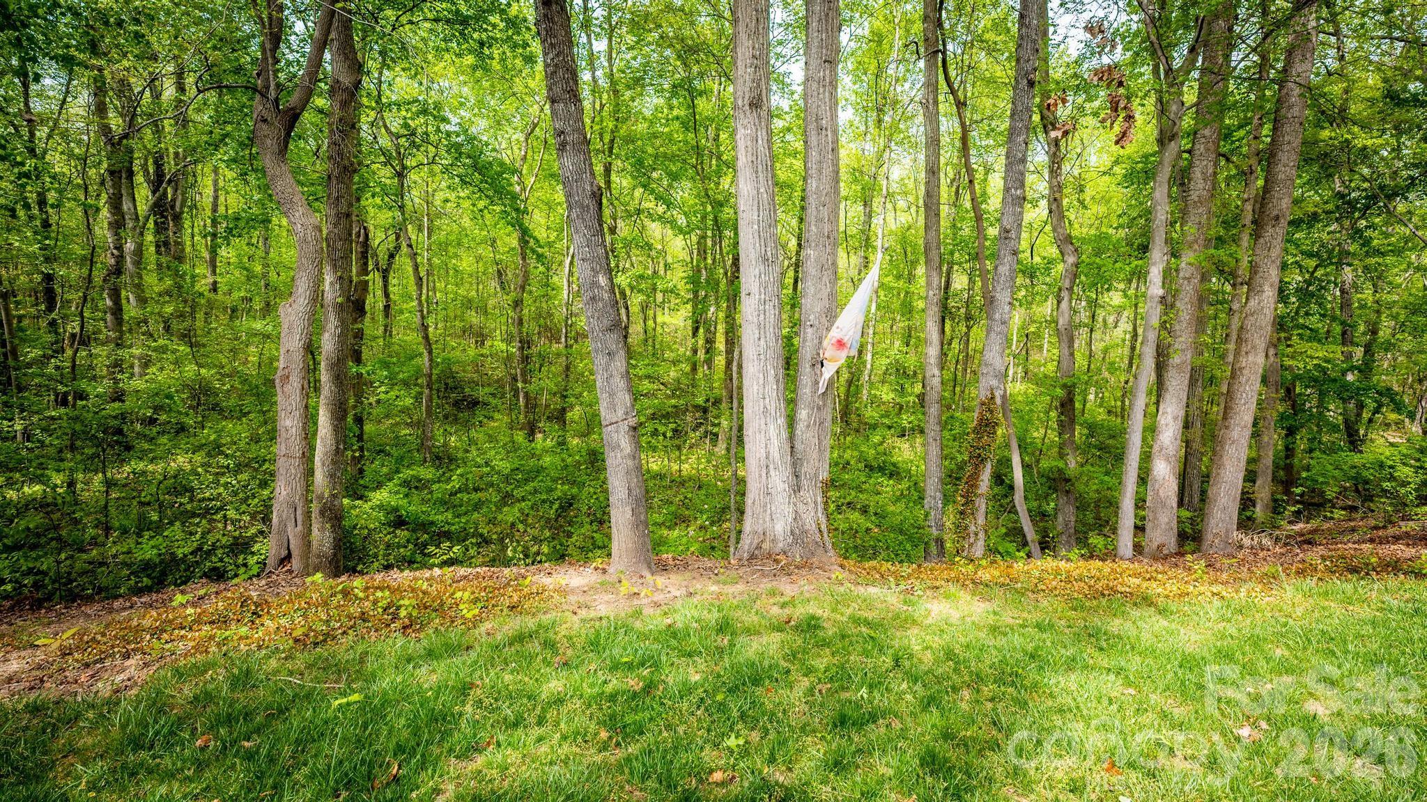 7867 Golf Course Drive North Denver, NC 28037 - Photo 28 of 34 a view of an outdoor space and trees in the background