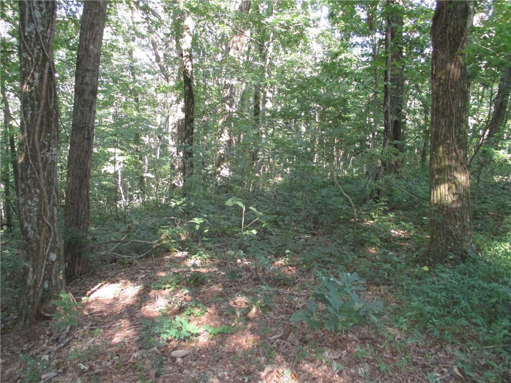 115 Upper Sassafras Road Jasper, GA 30143 - Photo 1 of 1 Gallery Image 1