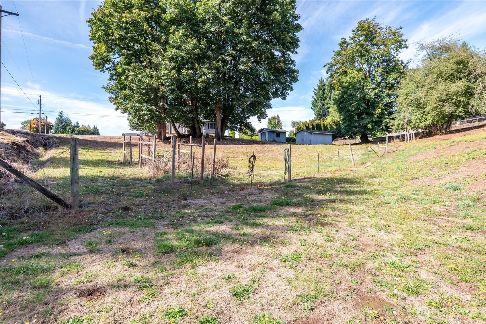 4630 Pleasant Hill Road Kelso, WA 98626 - Photo 29 of 39 a view of yard with tree