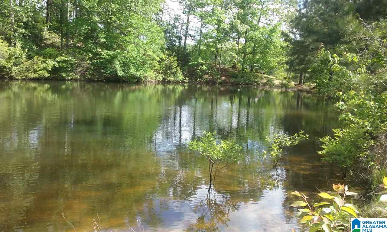 Old Jackson Road, Unit LEGAL Centreville, AL 35042 - Photo 10 of 11