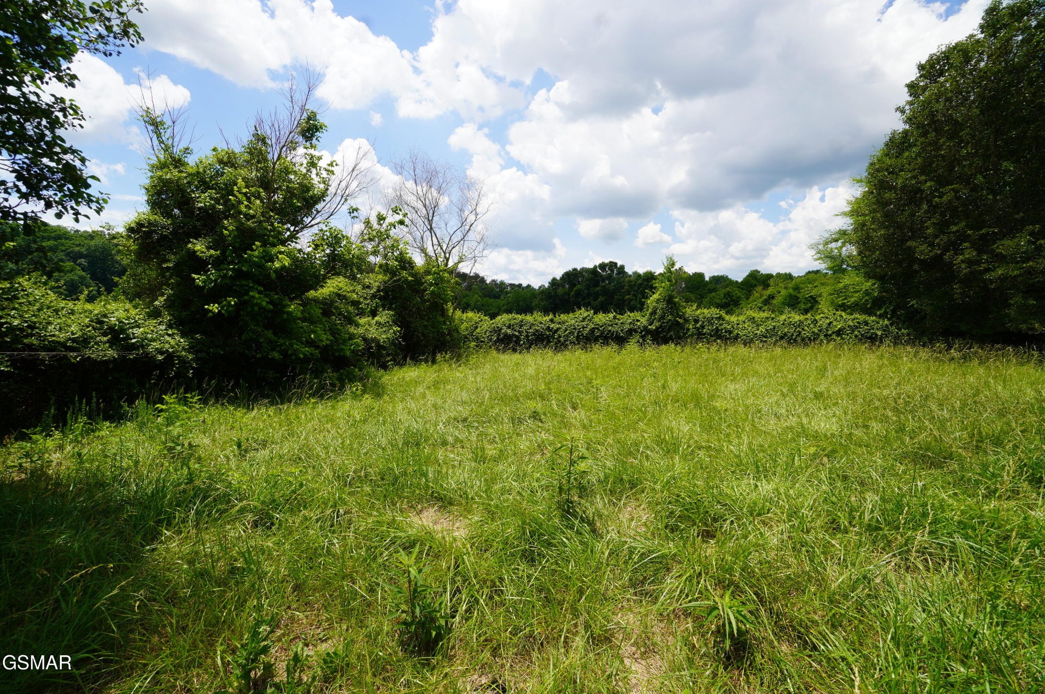 160 Kate Riley Lane Mohawk, TN 37810 - Photo 22 of 28 Gallery Image 22
