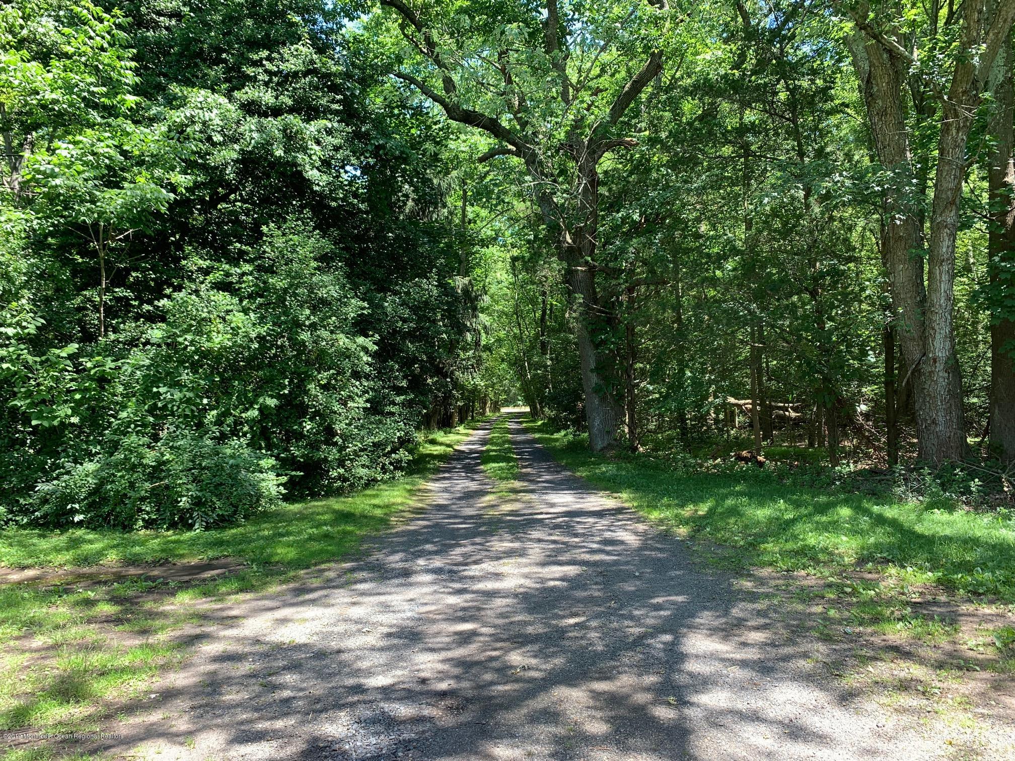 224 Tennent Road Morganville, NJ 07751 - Photo 2 of 3 a view of a forest with trees in the background