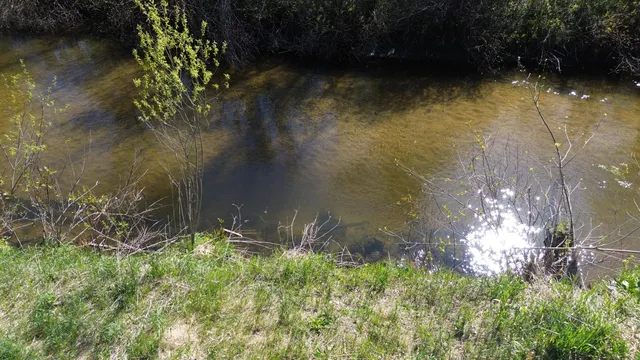 $15,500 | 15 & 16 E Loop Road, Shelby, MI 49455