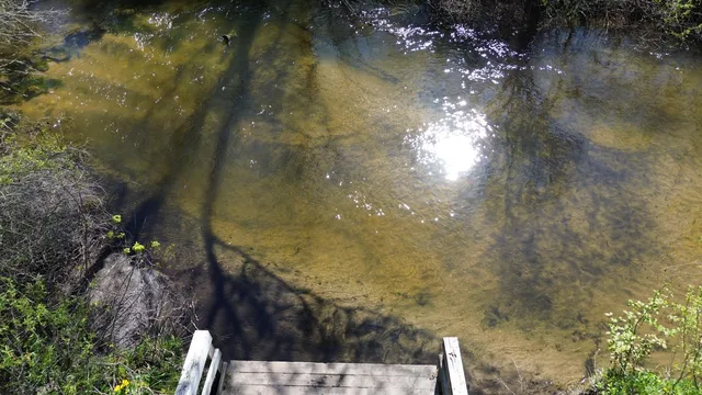 $15,500 | 15 & 16 E Loop Road, Shelby, MI 49455