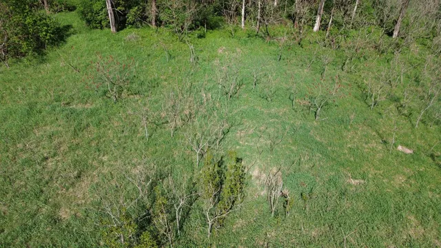 $15,500 | 15 & 16 E Loop Road, Shelby, MI 49455