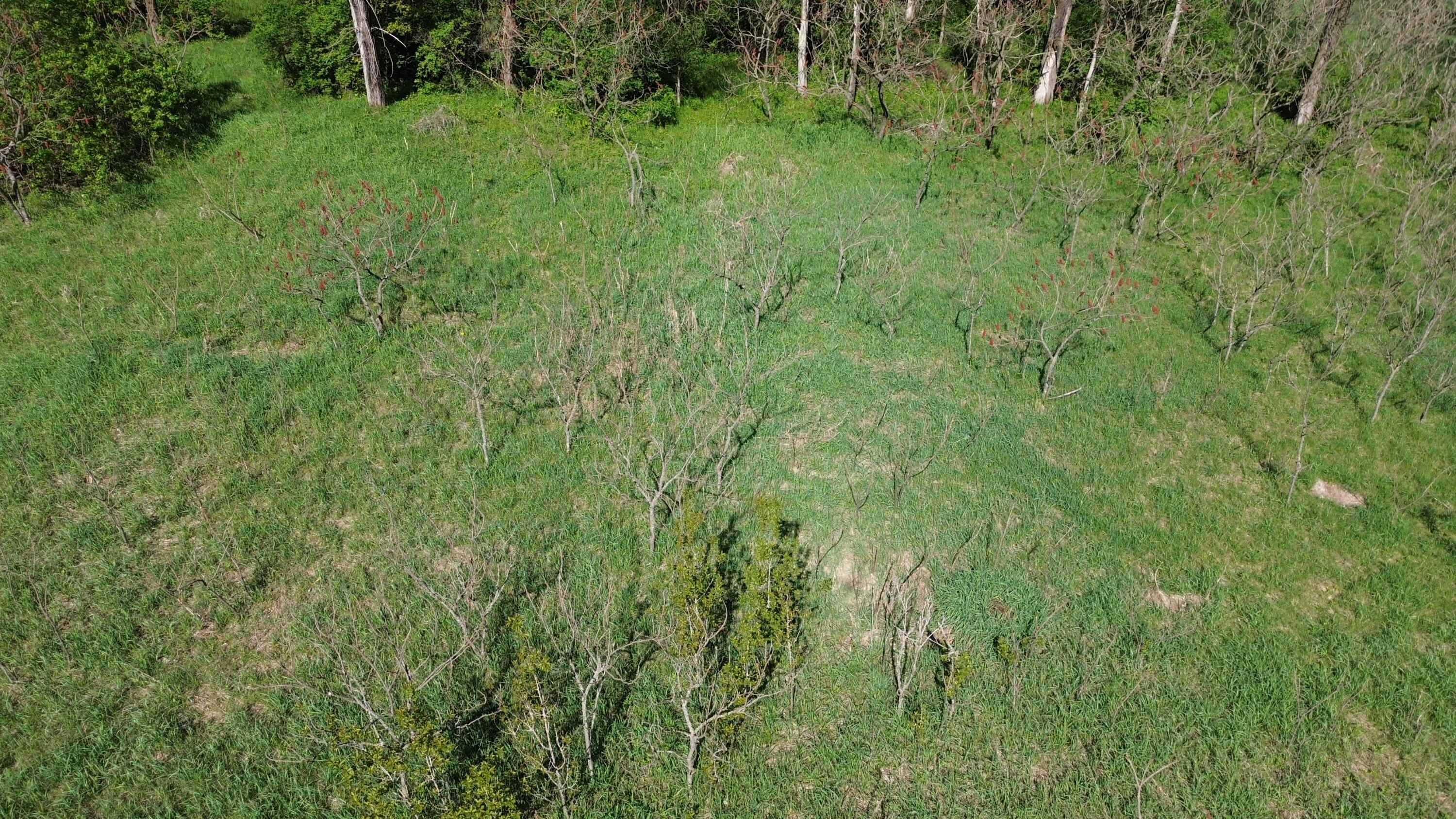 15 & 16 E Loop Road Shelby, MI 49455 - Photo 2 of 22 DJI_0428