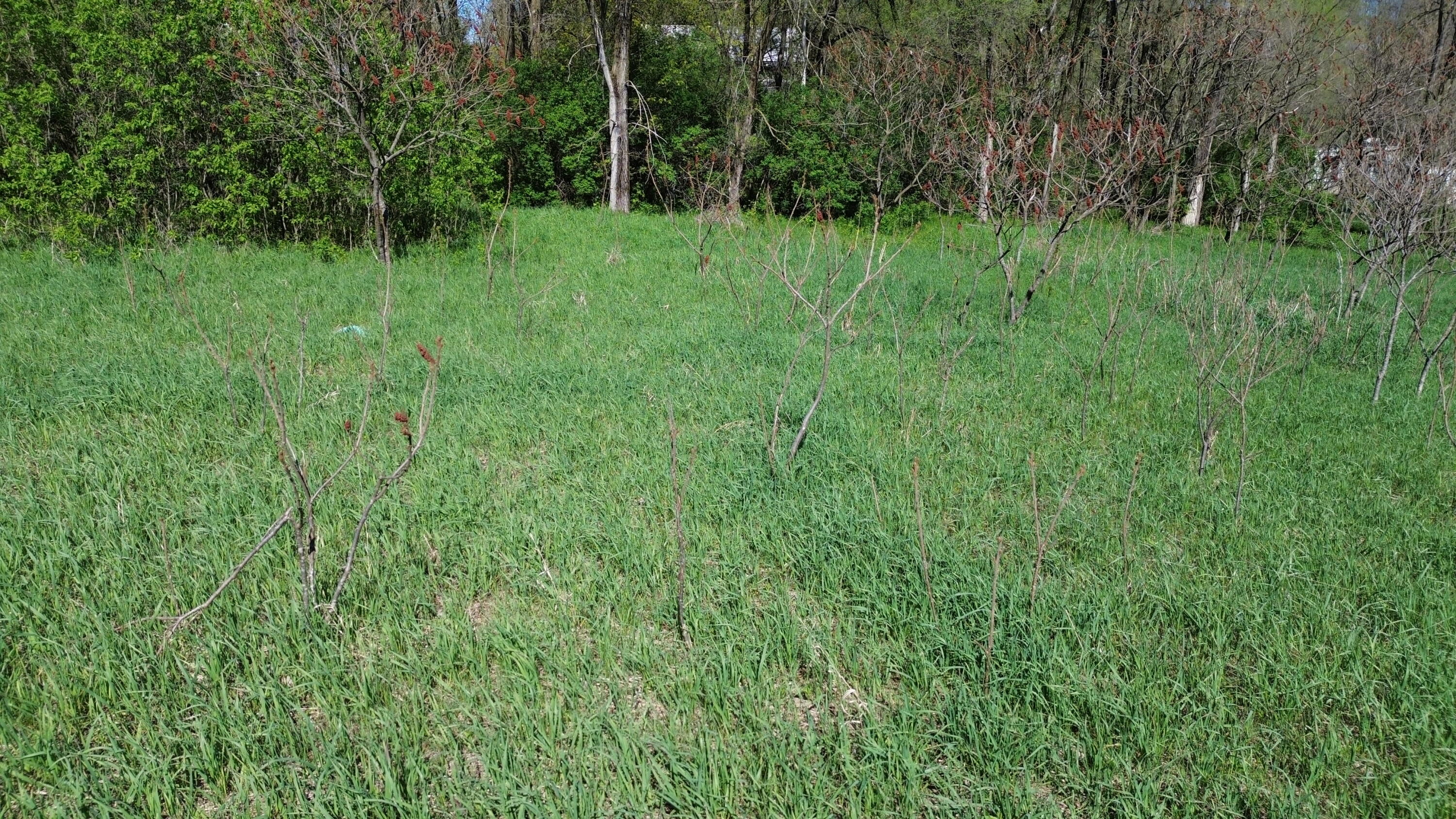 15 & 16 E Loop Road Shelby, MI 49455 - Photo 3 of 22 DJI_0429