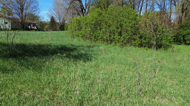 $15,500 | 15 & 16 E Loop Road, Shelby, MI 49455