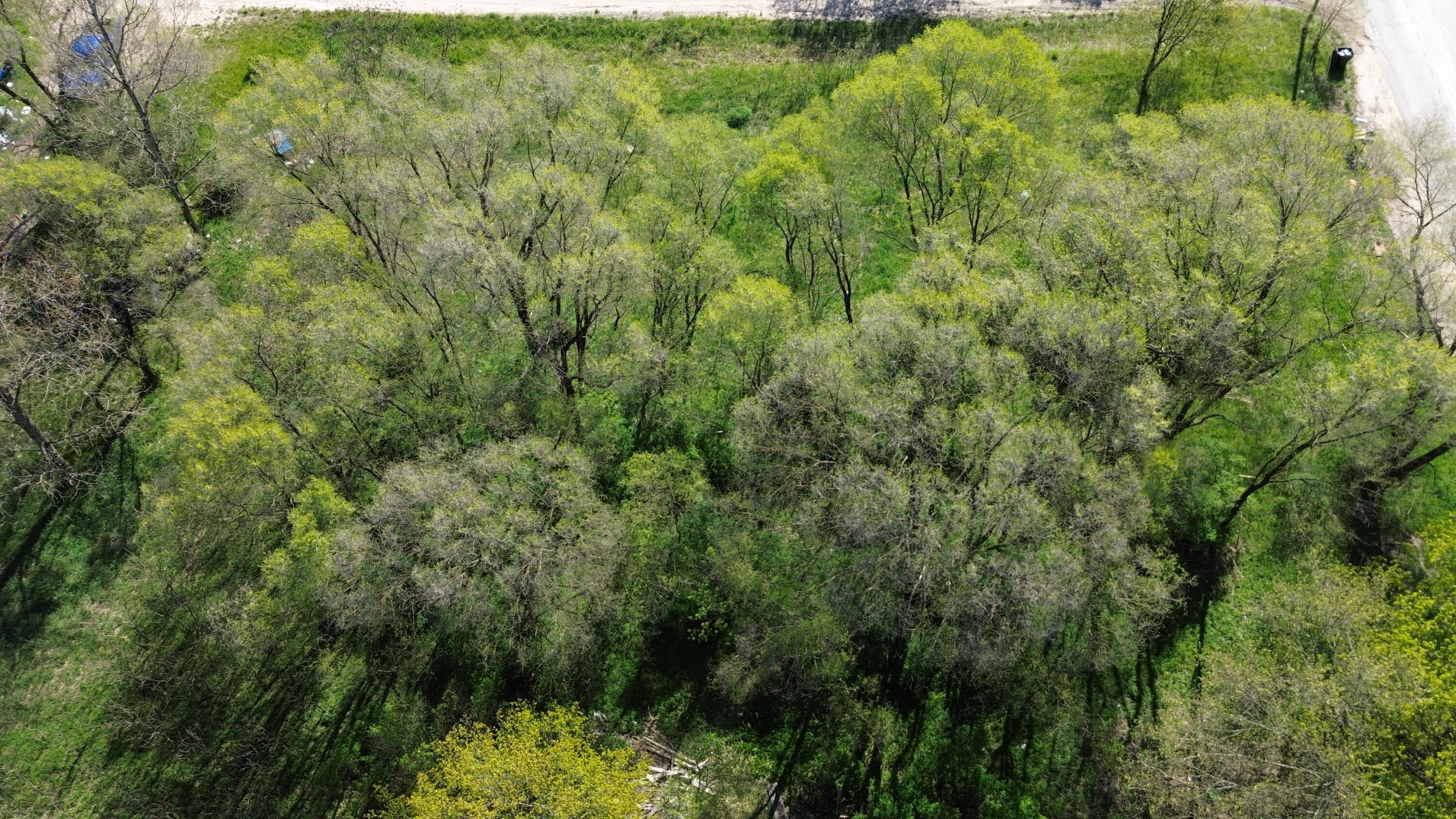 15 & 16 E Loop Road Shelby, MI 49455 - Photo 7 of 22 DJI_0421