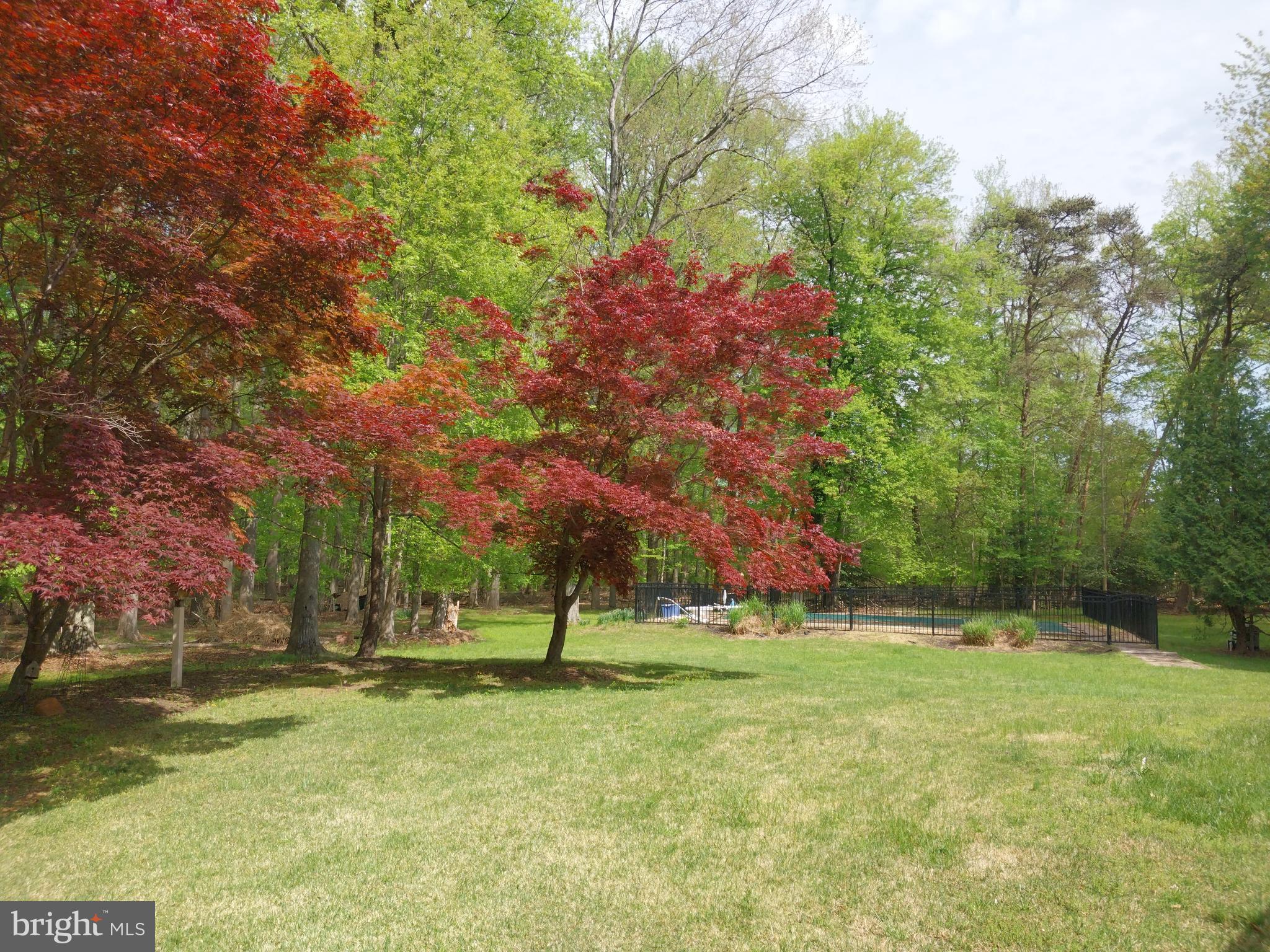 664 Mt Laurel Road Mount Laurel, NJ 08054 - Photo 64 of 65 Gallery Image 64
