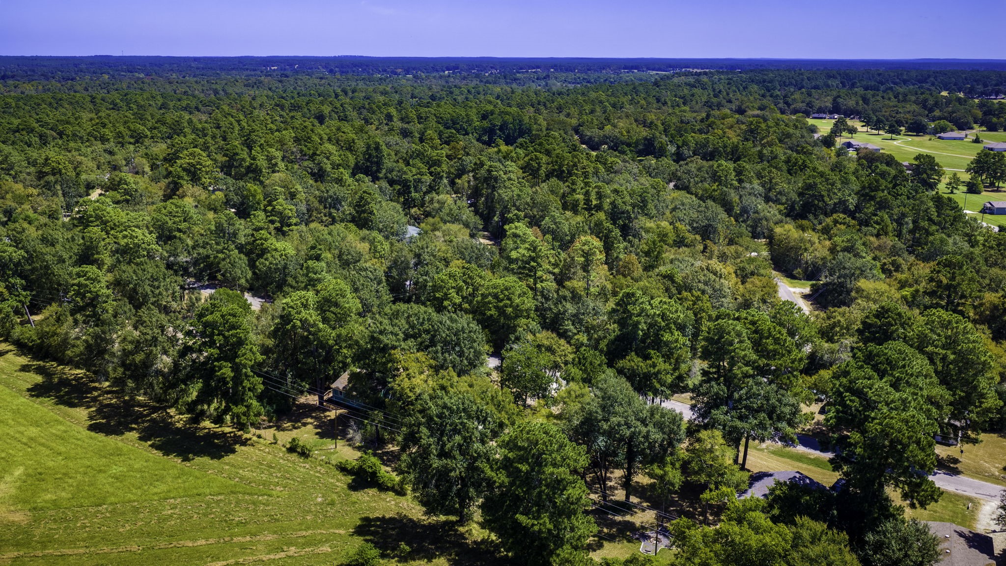 81 Westlake Road Trinity, TX 75862 - Photo 25 of 25 Expansive wooded landscape offering serene privacy and natural beauty, ideal for those seeking a tranquil setting.