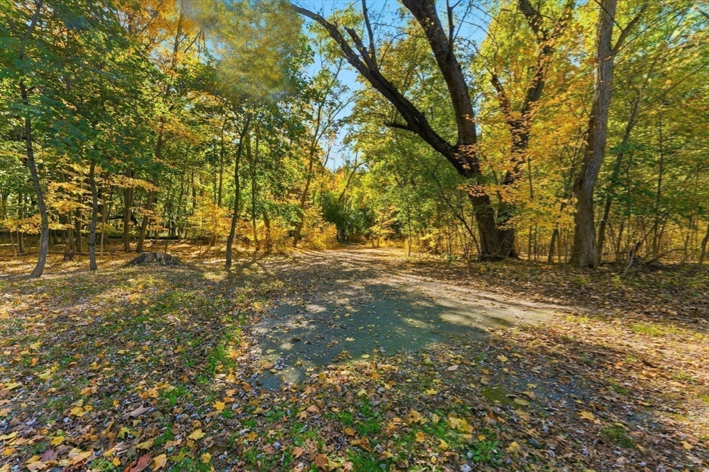 106 Magnolia Terrace Springfield, MA 01108 - Photo 39 of 42 a view of outdoor space with trees