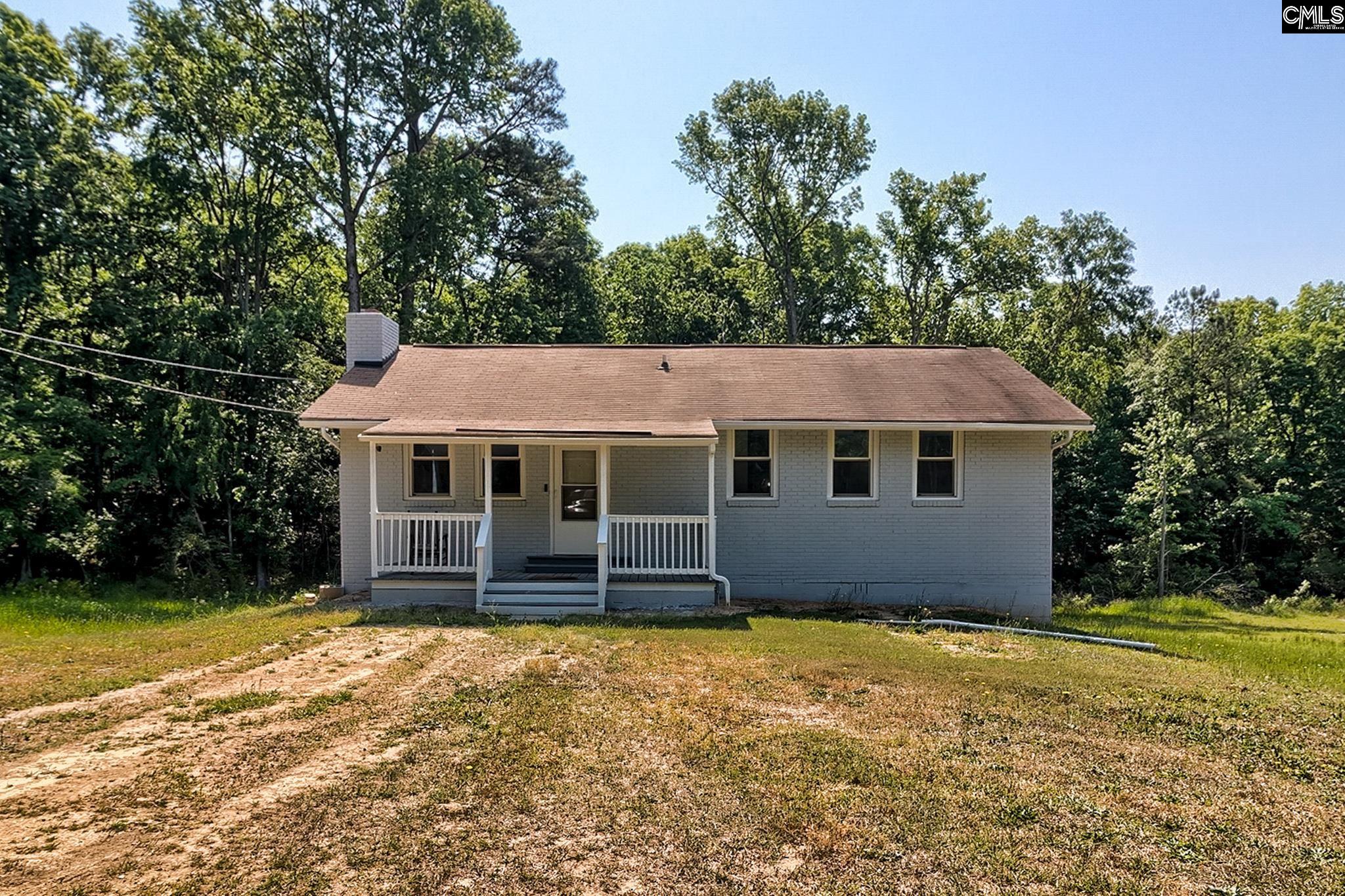 1133 Old Hilton Road Chapin, SC 29036 - Photo 4 of 50