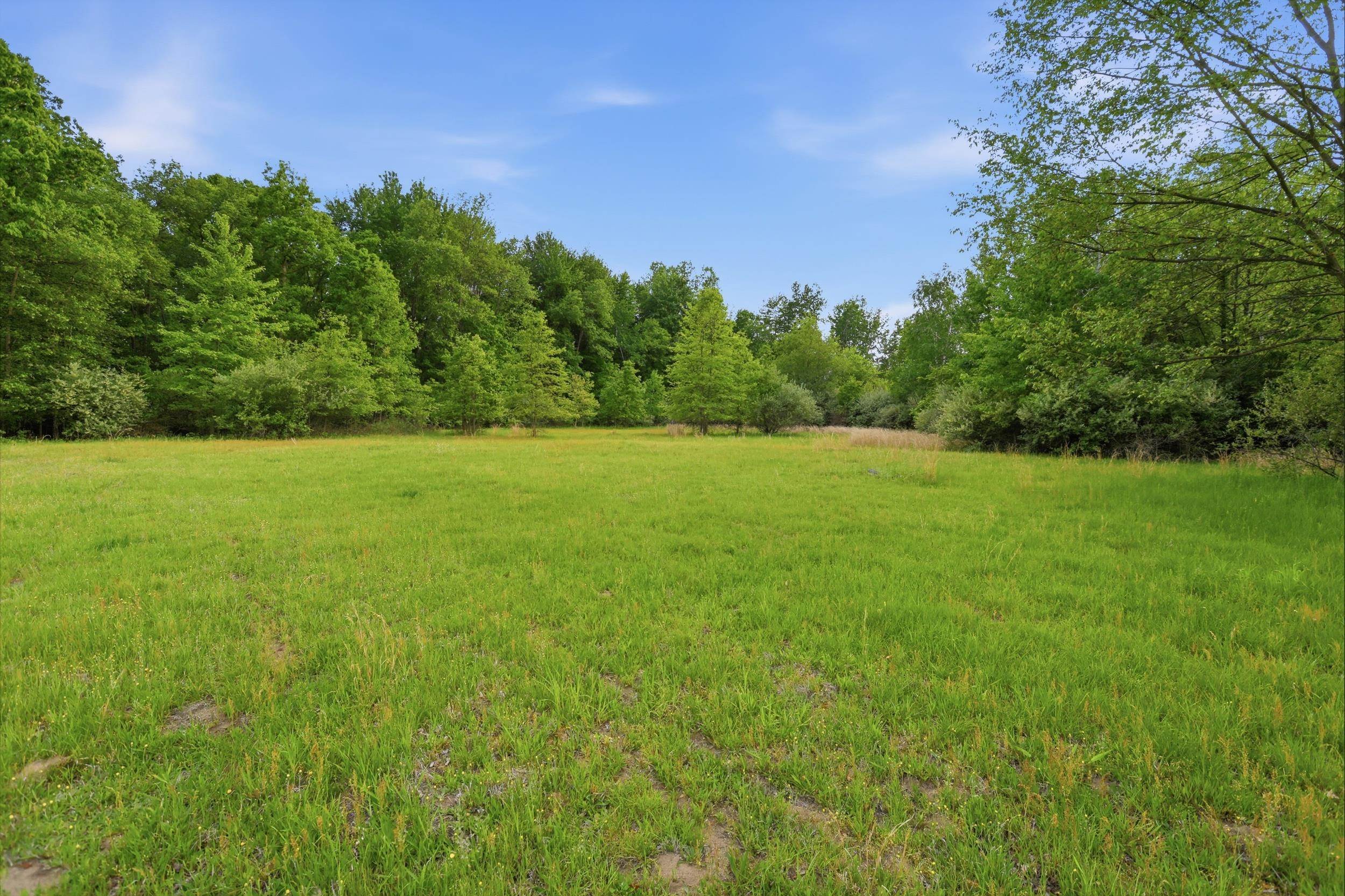 Vl South Chapin Road Elsie, MI 48831 - Photo 10 of 26
