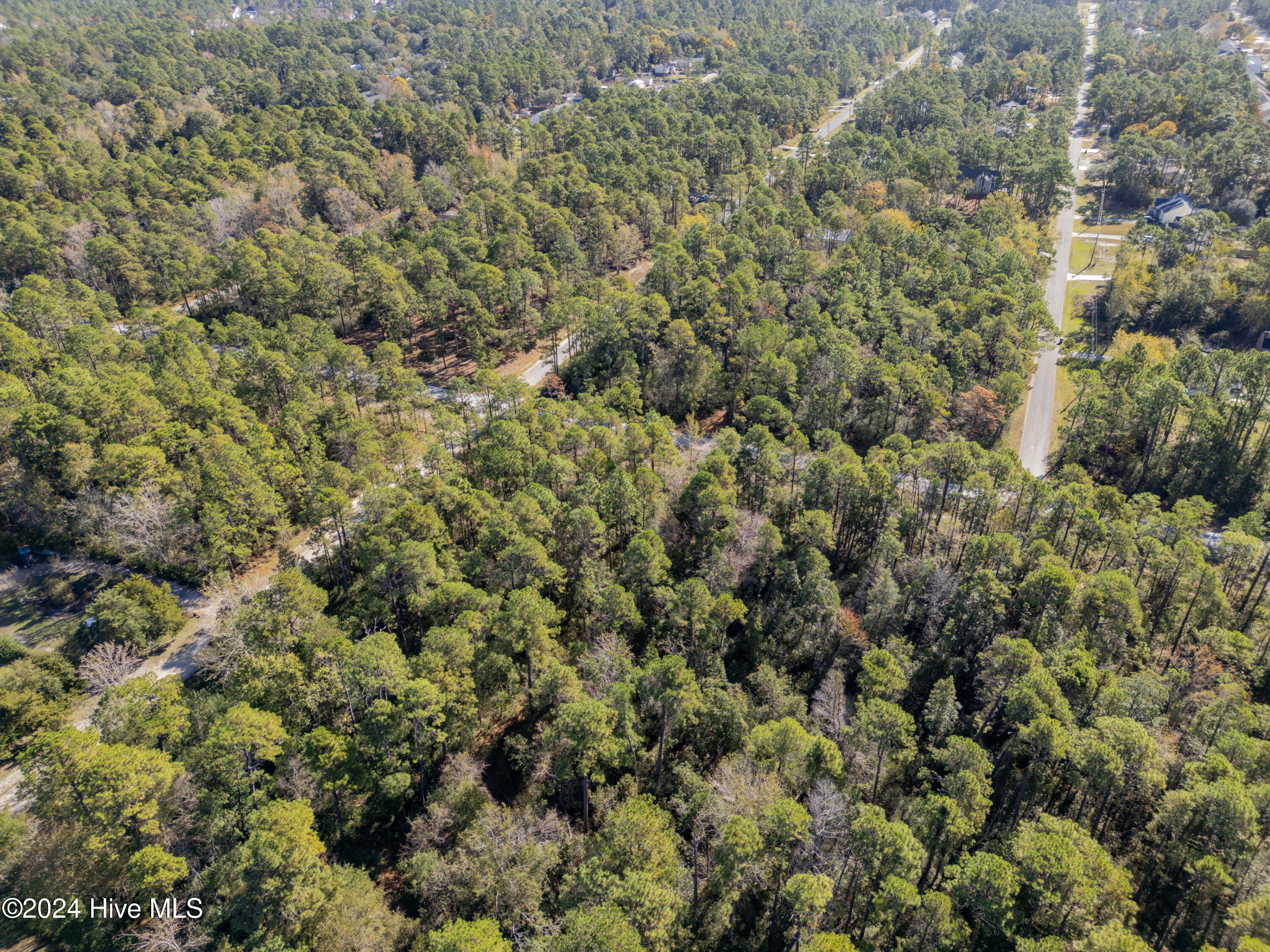 1581 Juniper Road Boiling Spring Lakes, NC 28461 - Photo 9 of 21 DJI_0141
