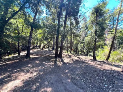 a view of outdoor space with trees