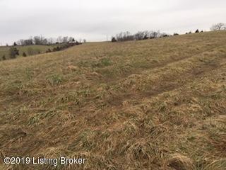 3 Woodrow Wilson Road Carrollton, KY 41008 - Photo 1 of 7 acreage