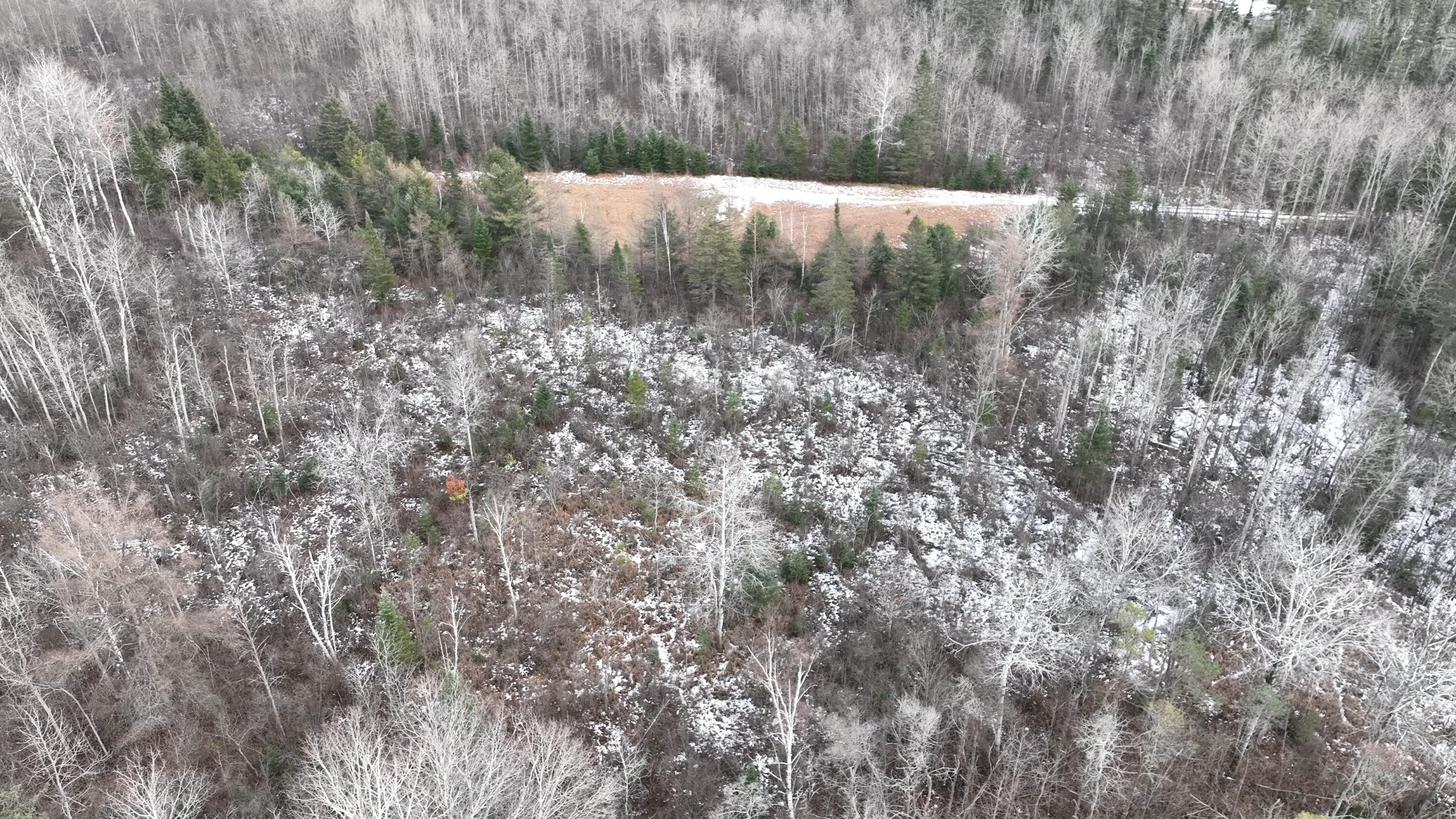 Lot 1 Funk Road Hillman, MI 49746 - Photo 7 of 25 Gallery Image 7