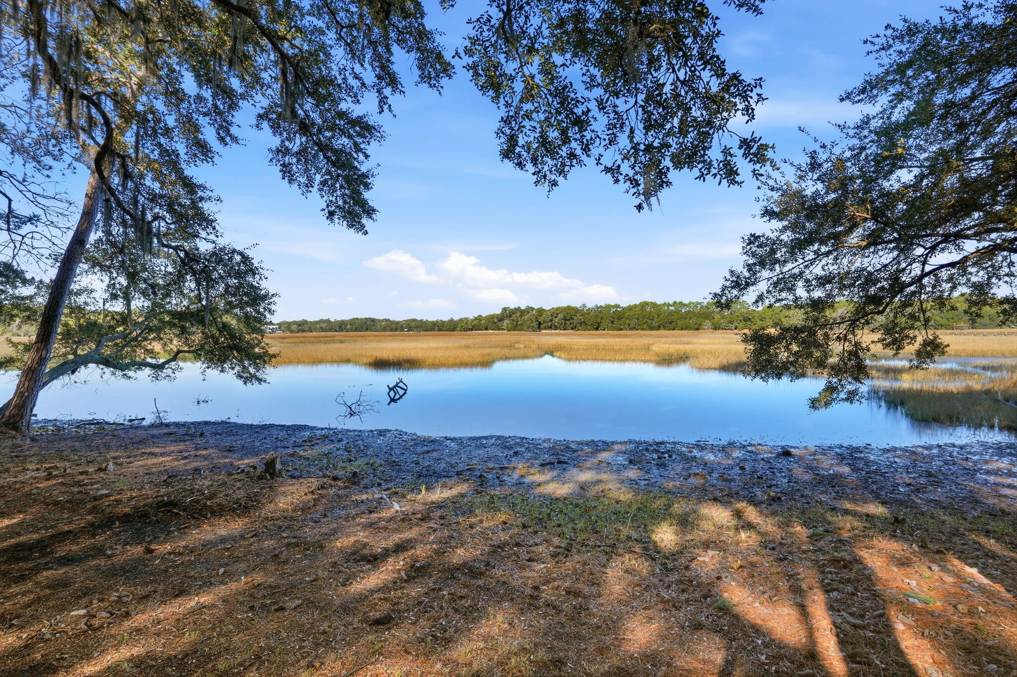 8448 Chisolm Pltn Road Edisto Island, SC 29438 - Photo 37 of 56 49-web-or-mls-048_DSC04972_1