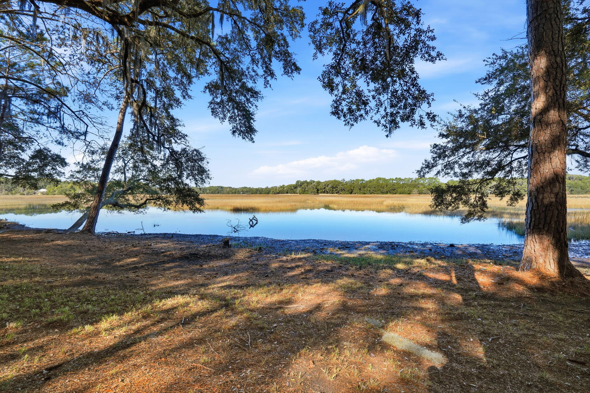 8448 Chisolm Pltn Road Edisto Island, SC 29438 - Photo 7 of 56 50-web-or-mls-049_DSC04975_1