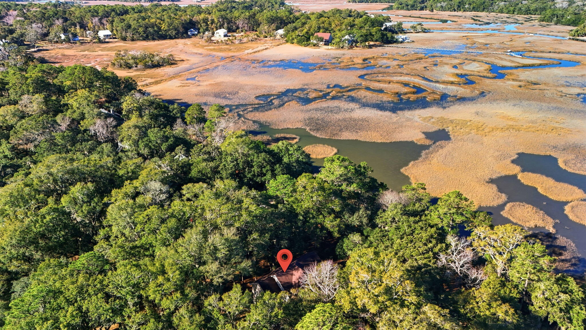 8448 Chisolm Pltn Road Edisto Island, SC 29438 - Photo 10 of 56 60-web-or-mls-010_DJI_20260122101951_003