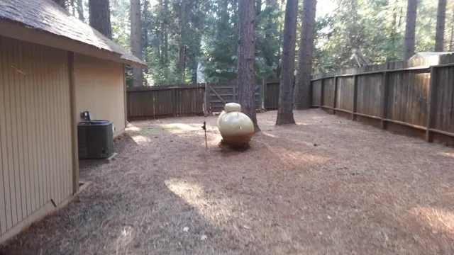 a view of a backyard with tree and wooden fence
